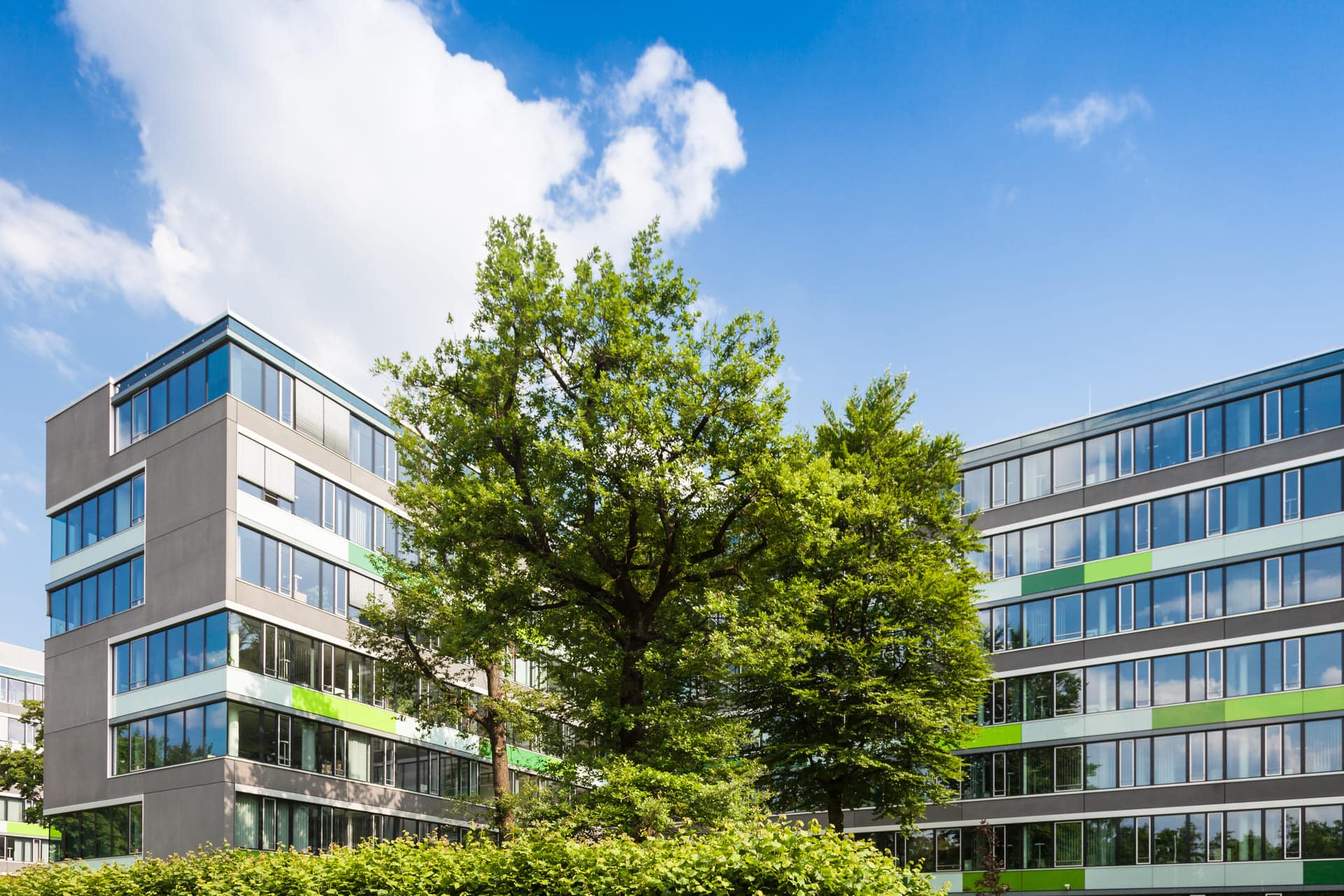 Verkauf von Gewerbeobjekt Ludwigshafen